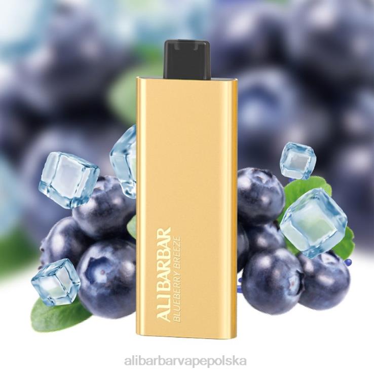 Alibarbar Vape Nicotine - Alibarbar Pandora 7000 jednorazowych waporyzatorów jagodowy wiatr 44L4J51