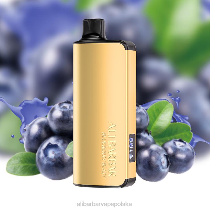 Alibarbar Vape Nicotine - Alibarbar Ingot 9000 jednorazowych waporyzatorów wybuch jagód 44L4J15